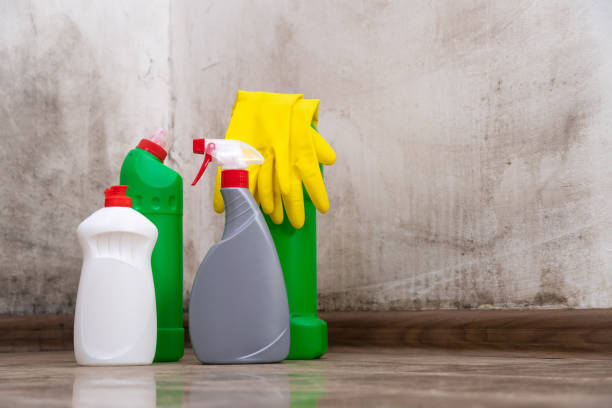 Best Biohazard Mold Removal  in Wapakoneta, OH